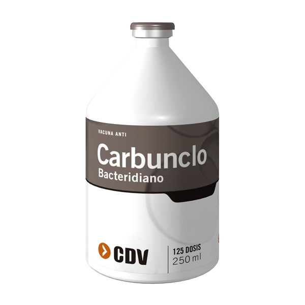 carbunclo-bacteridiano